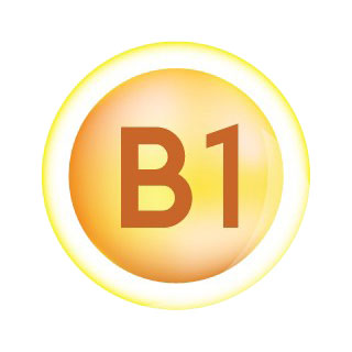 วิตามินบี 1 (Vitamin B1)