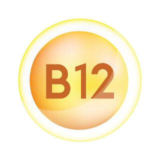 วิตามินบี 12 (Vitamin B12)