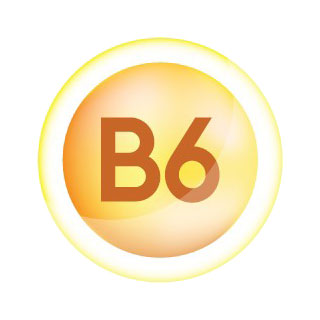 วิตามิน B6 (Vitamin B6)
