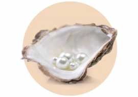 White Pearl Extract