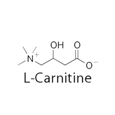L-Carnitine-L-Tratrate แอล-คาร์นิทีน