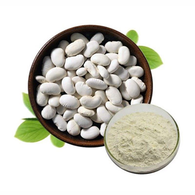 White Kidney Bean Extract สารสกัดจากถั่วขาว